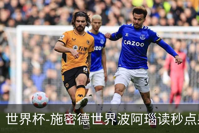 世界杯-施密德世界波阿瑙读秒点射破门 奥地利3-1约旦